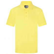The Greenway Academy Polo Shirt (with your school logo)