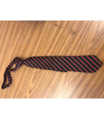 Hornsea School Tie