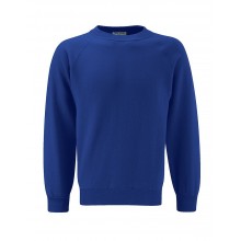 Patrington Sweatshirt (with your school logo)