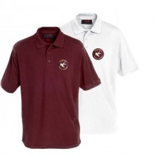 Southcoates Polo Shirt (with your school logo)