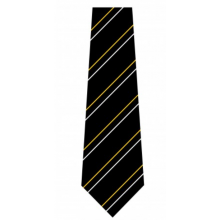 Marvell College Clip on Tie