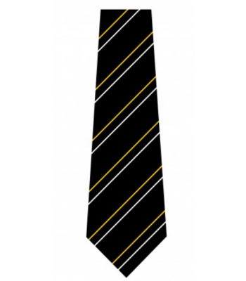Marvell College Clip on Tie