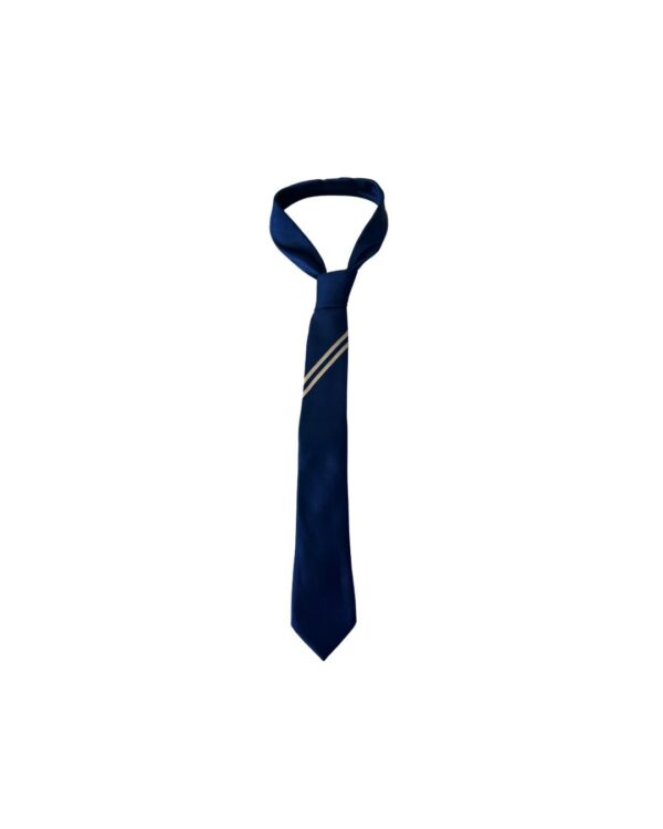 Kingswood Academy Navy Tie with School Stripe from Sept 2025