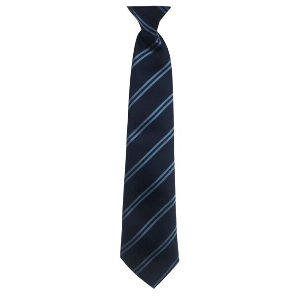 Holderness Academy Tie