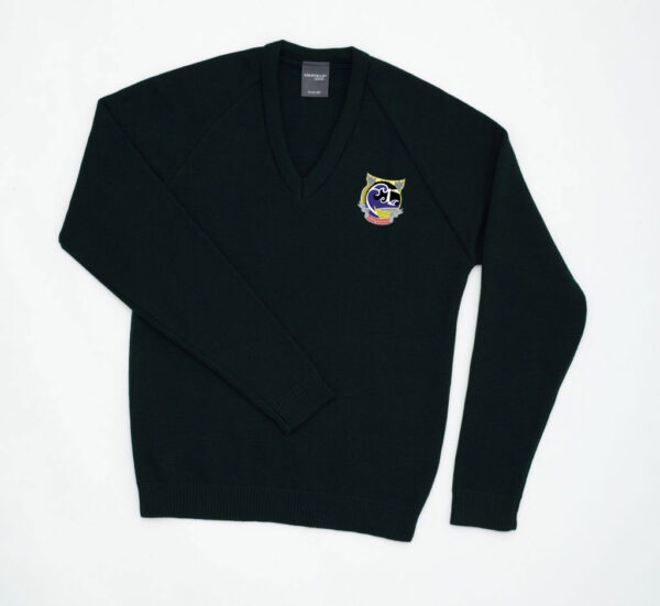 Withernsea High V Neck Knitted jumper with School logo