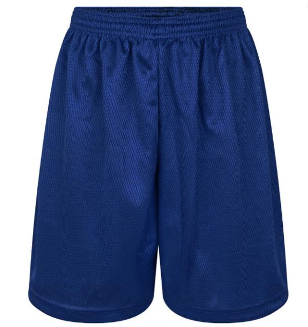 Hessle High Unisex PE Shorts