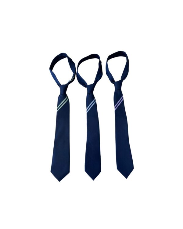 Kingswood Academy Navy Tie with School Stripe
